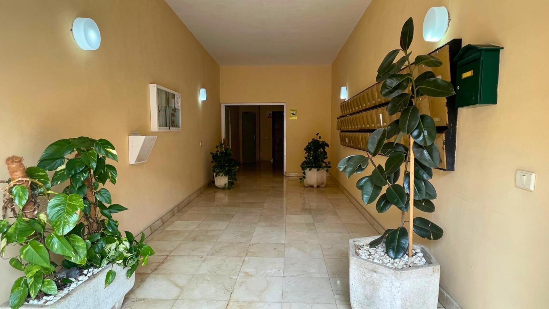 Markethome Jardines Del Mar Pool View Puerto de Santiago  Exterior foto